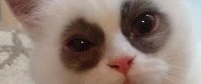 如何让自己的睡眠变差