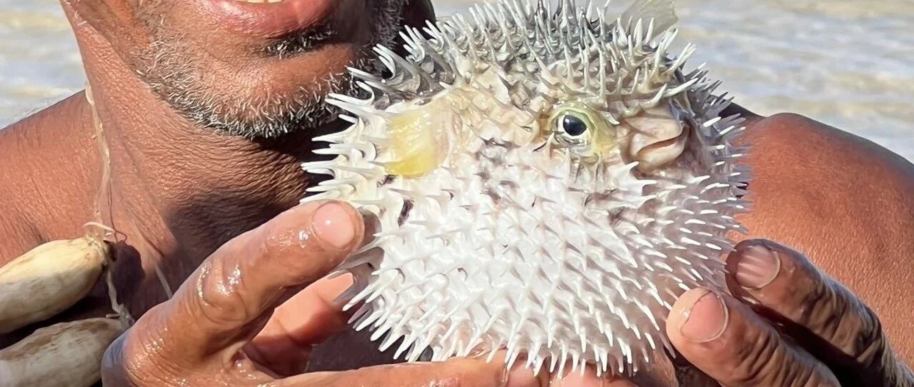 索克特拉岛日记 1/8-1/10
