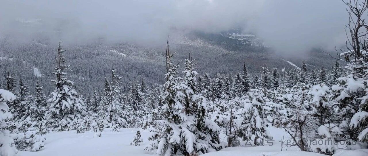 在冰天雪地里赤身徒步6小时是什么样的体验